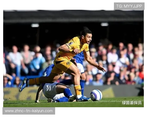 法甲快节奏，教练点评战术变革，法甲介绍