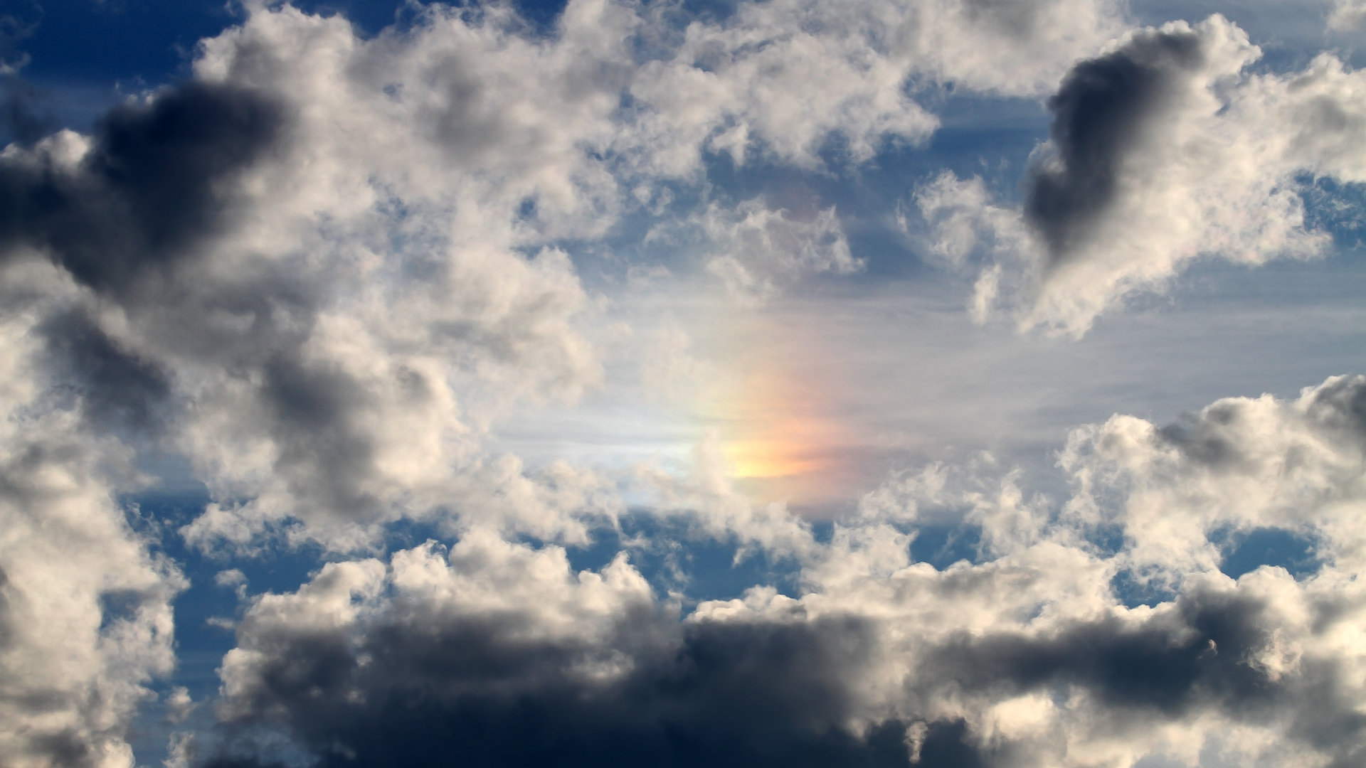 篮球专项技能动作细节规范及训练方法研究，篮球运动技能