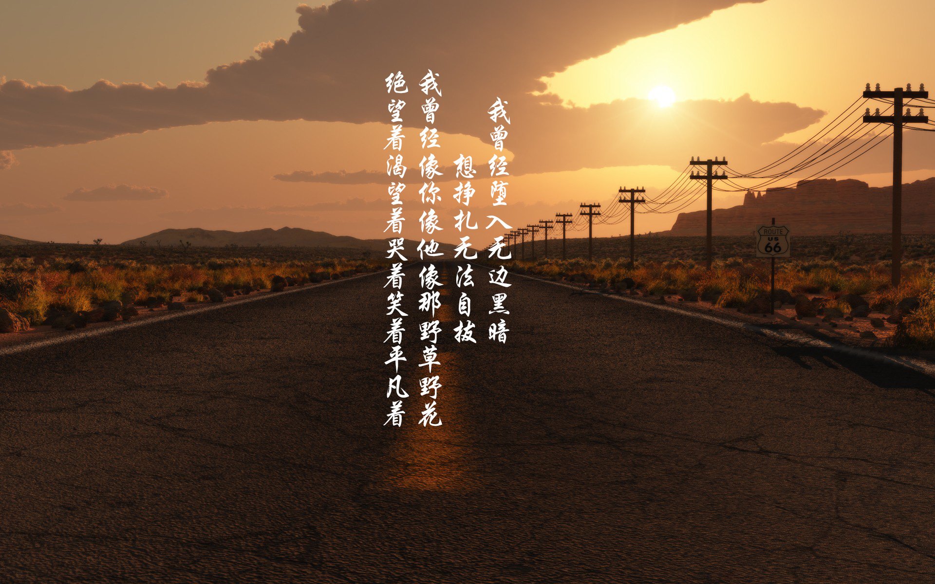 青少年体育社交平台使用行为调研与发展建议,关注青少年体育