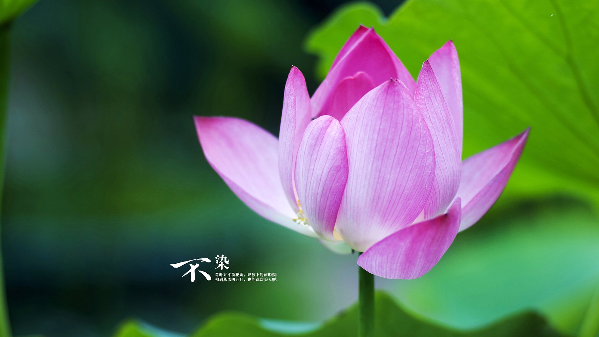 开云体育app入口-CBA联赛联合科技企业开展运动研究，cba运作模式