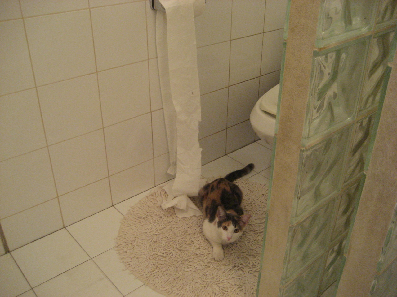 体育新闻中心发布体育内容版权纠纷解决方案,体育新闻侵权