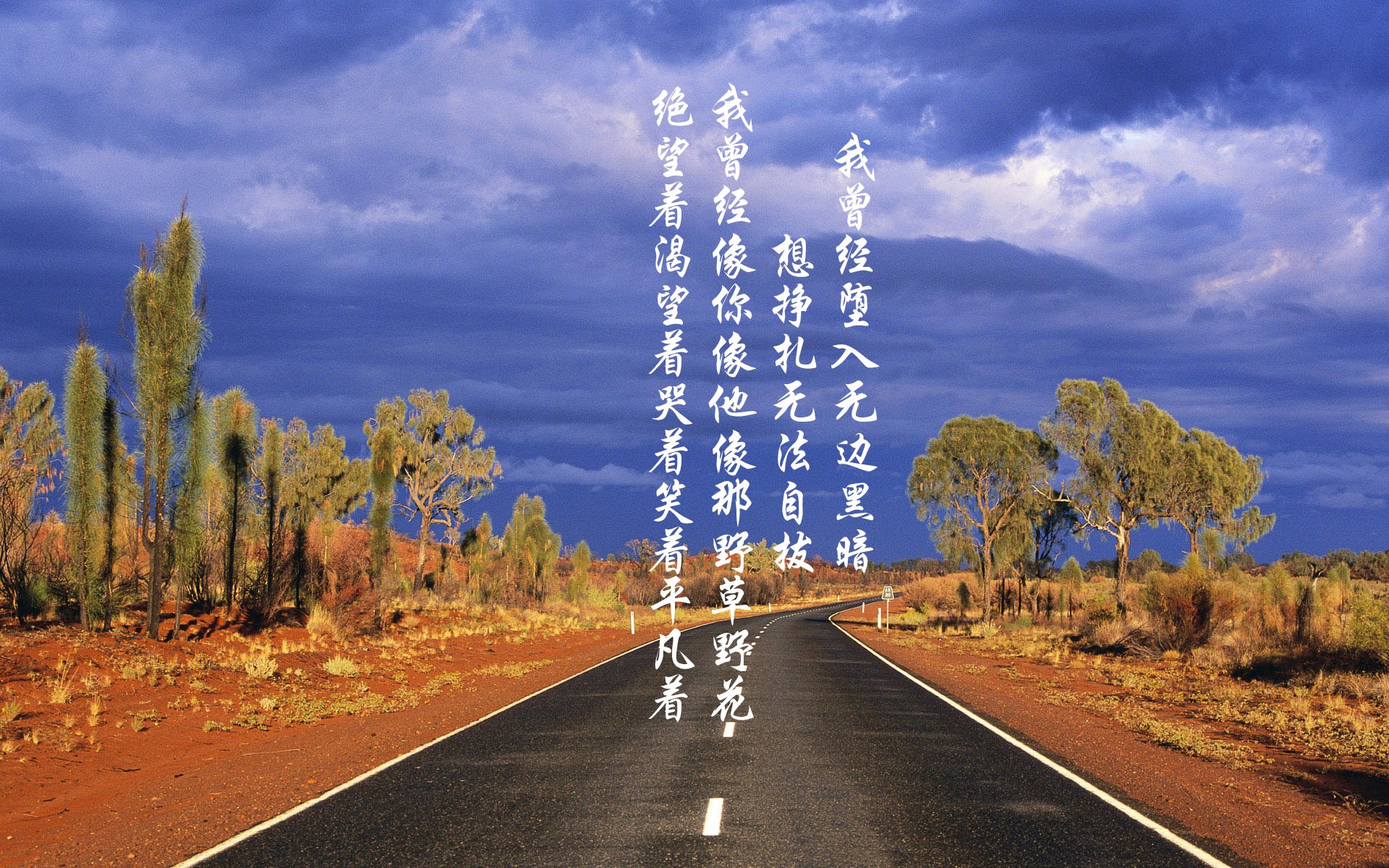 开云在线入口-恩波利主场战绩提升增强保级信心，恩波利队