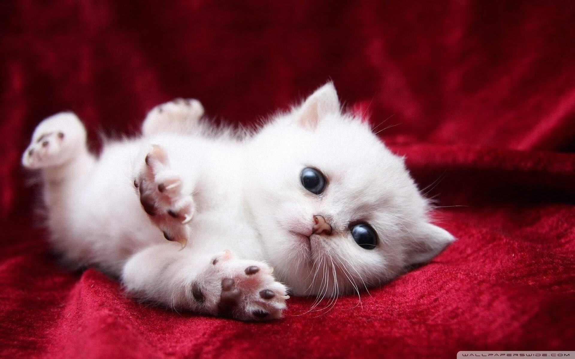 皇马利用局部优势打出快速推进,皇马的战术打法