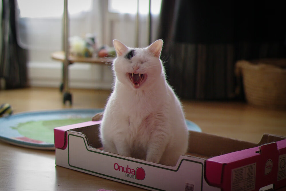 雷恩高强度跑动压制对手节奏，雷恩ds