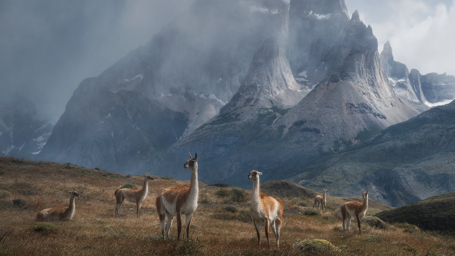 开运体育电脑版-世界杯预选赛进入关键阶段，争夺晋级名额激烈异常，世界杯预选赛 晋级