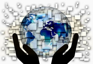 开云体育官网app-国家滑板协会公布全国青少年排名更新机制，国家滑板队训练中心