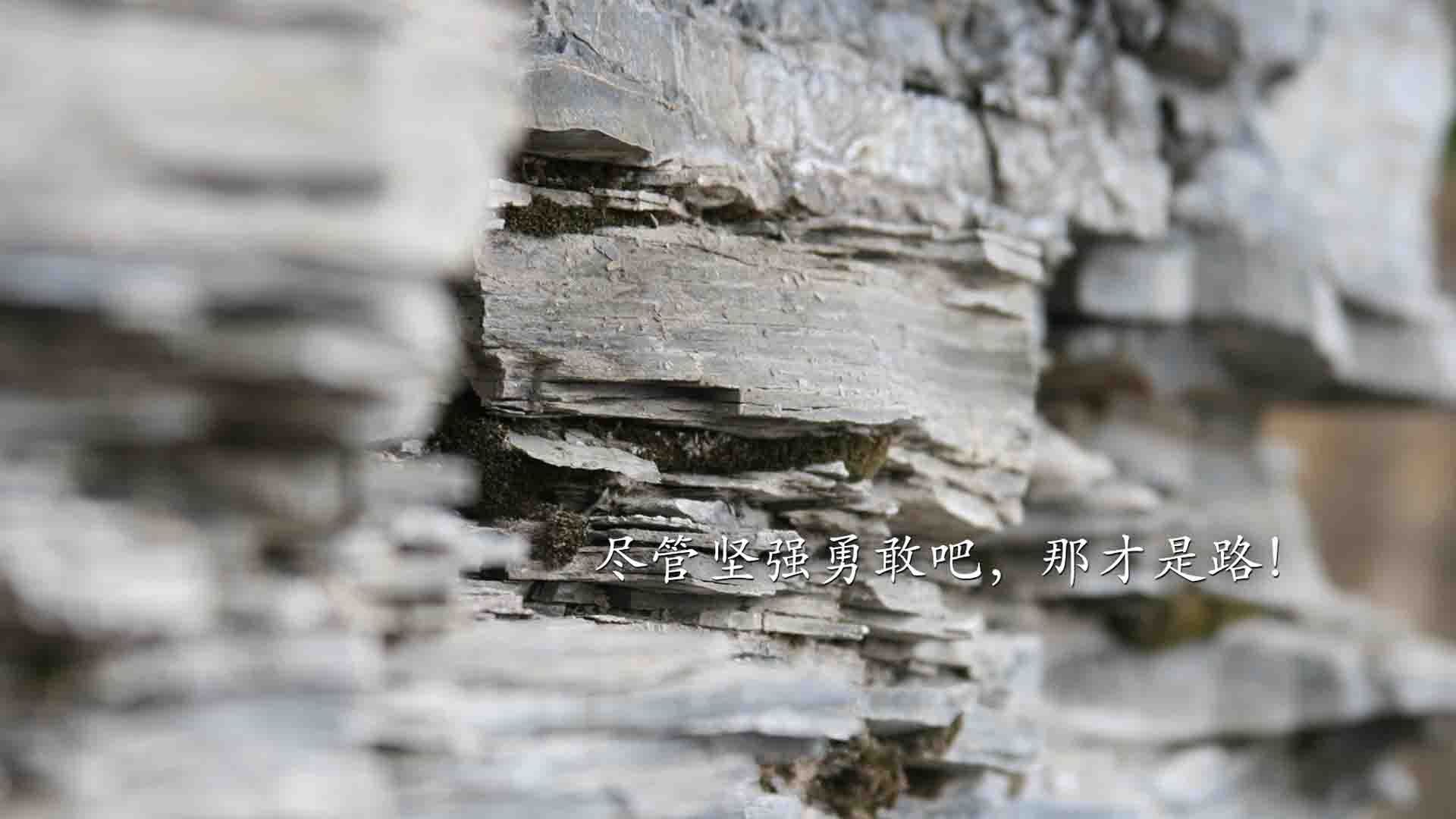 开云体育在线登入-突尼斯女队水球快速反击见成效，突尼斯挑战赛