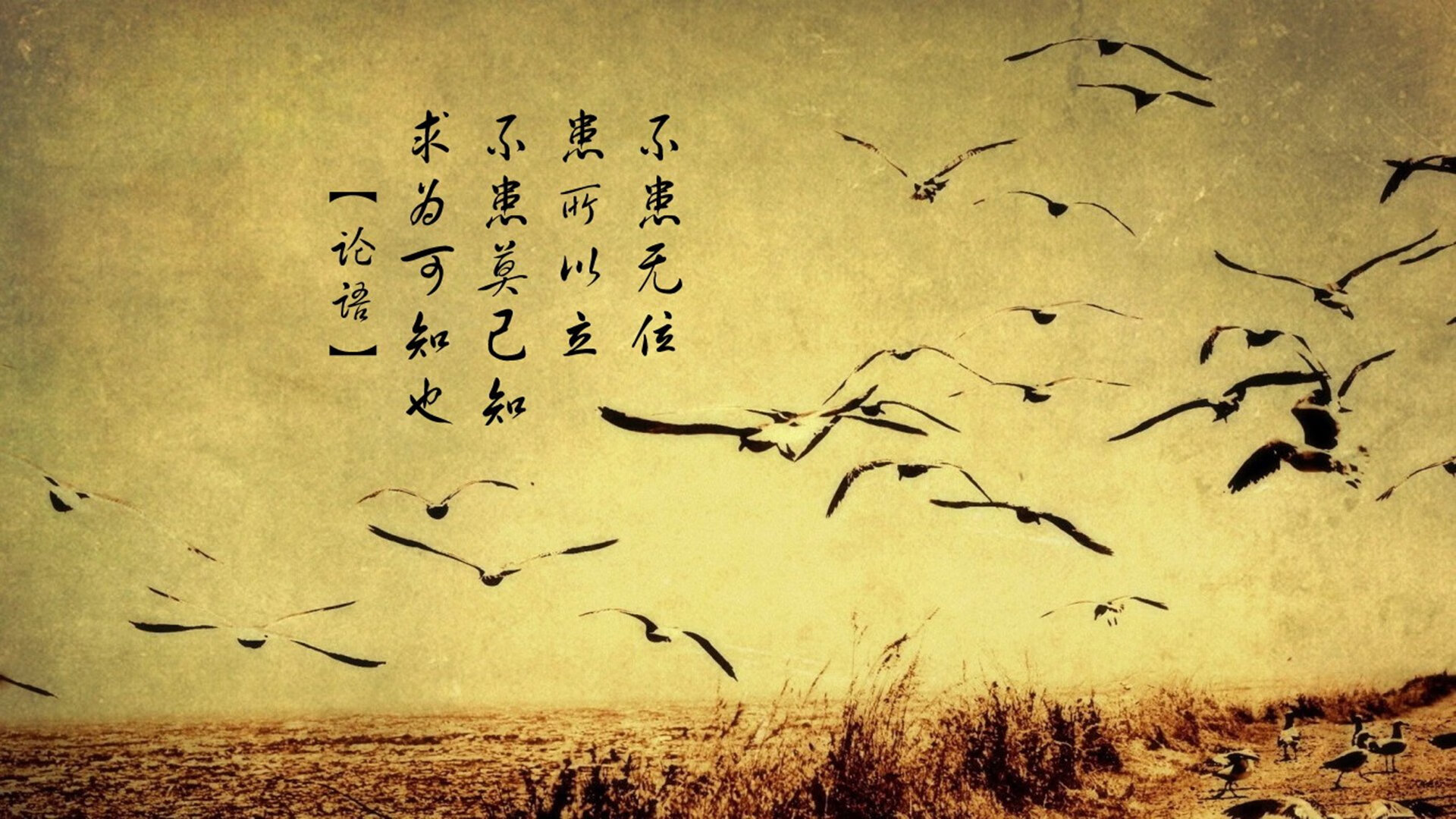 Kobayashi 冷静应对比赛压力